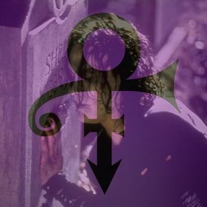 Meet your Posher, Dee